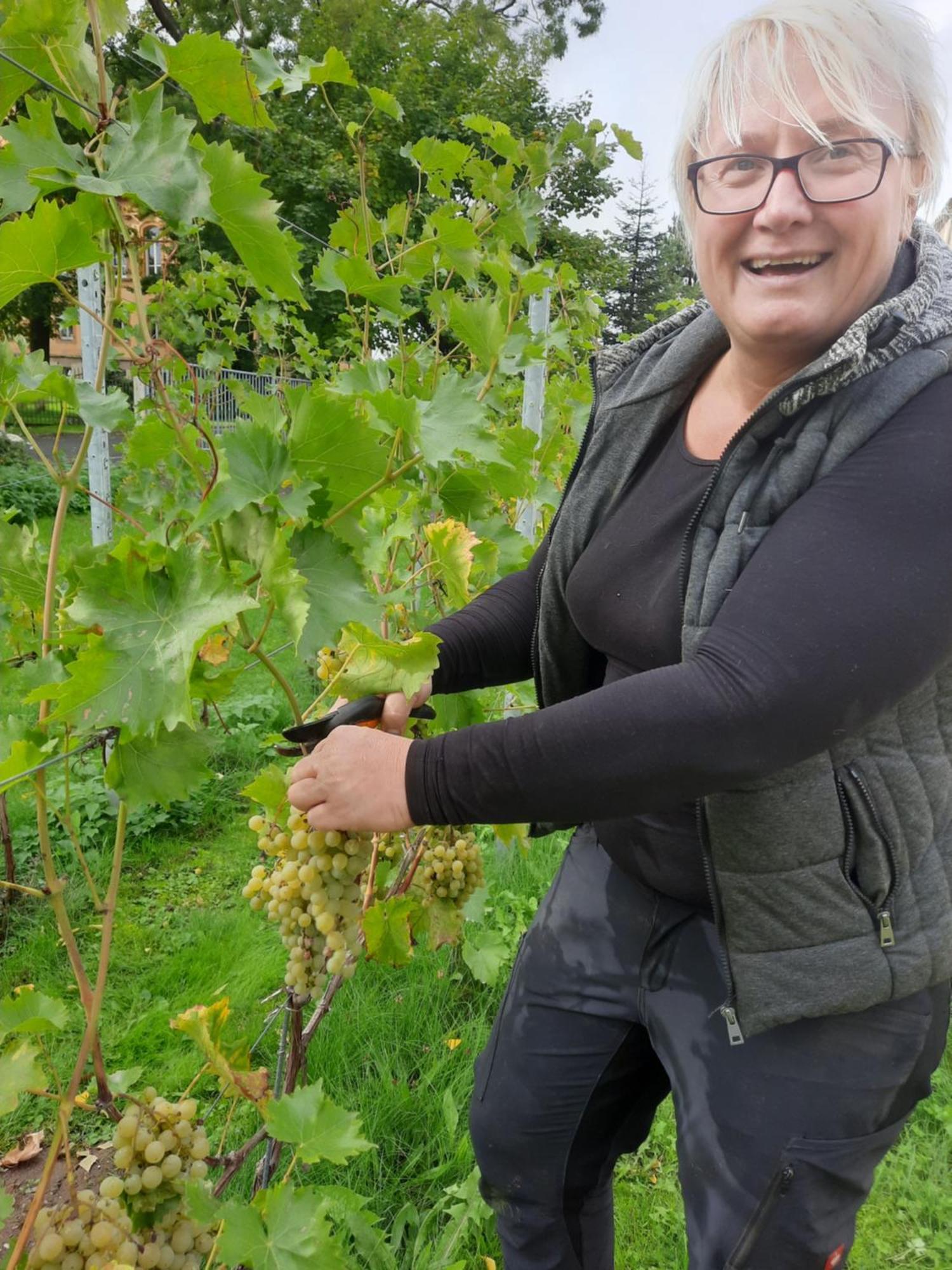 Ferienwohnung Weingut Lahmer August Kretzschau 외부 사진